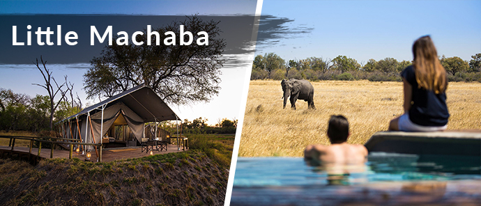 Botswana Resident Rate Special Little Machaba
