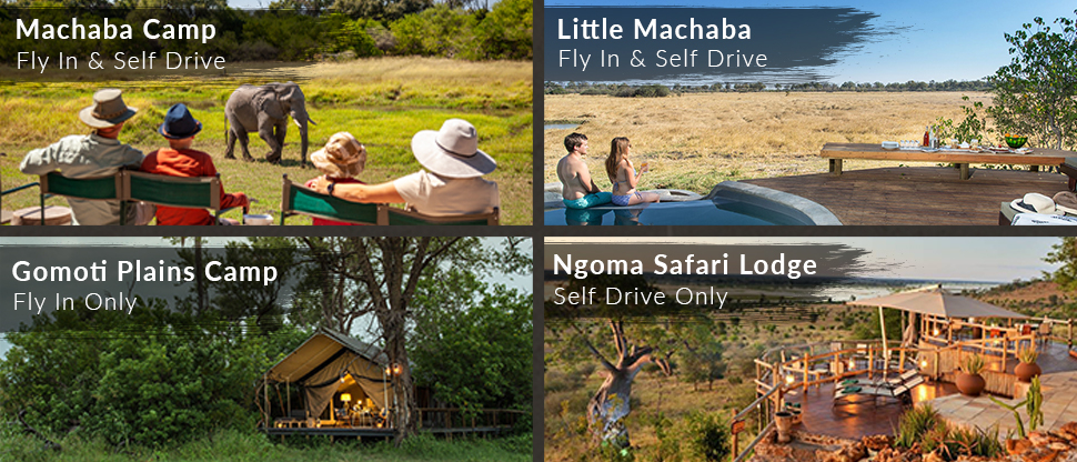 Botswana Resident Rate Special Camps And Lodges Full Width