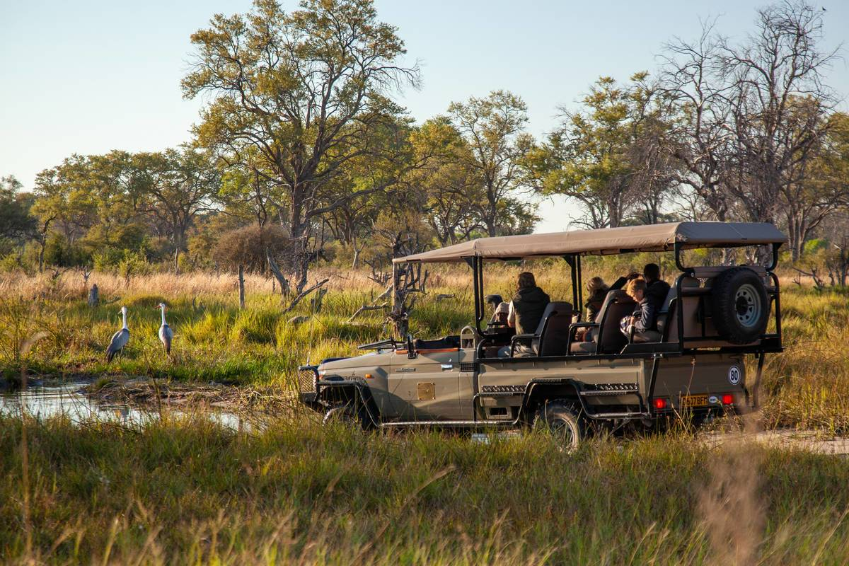 Machaba Botswana Okavango Delta Machaba Camp Banner June Sightings 2020