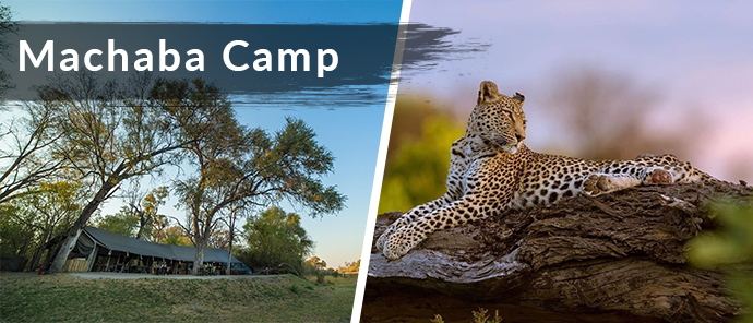 Botswana Resident Rate Special Machaba Camp