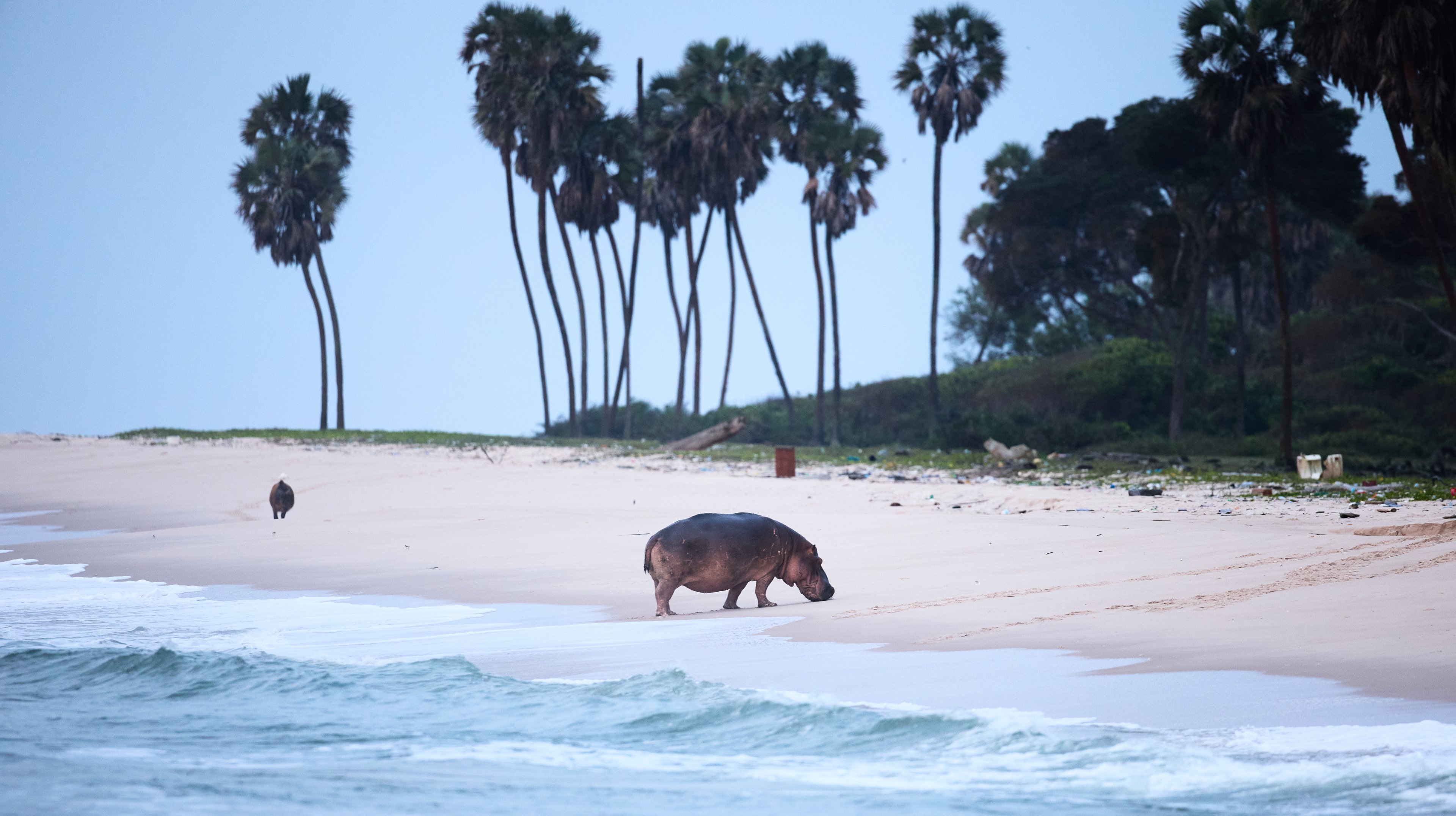 CONSERVATION THROUGH TOURISM LOW IMPACT EXPLORATIONS