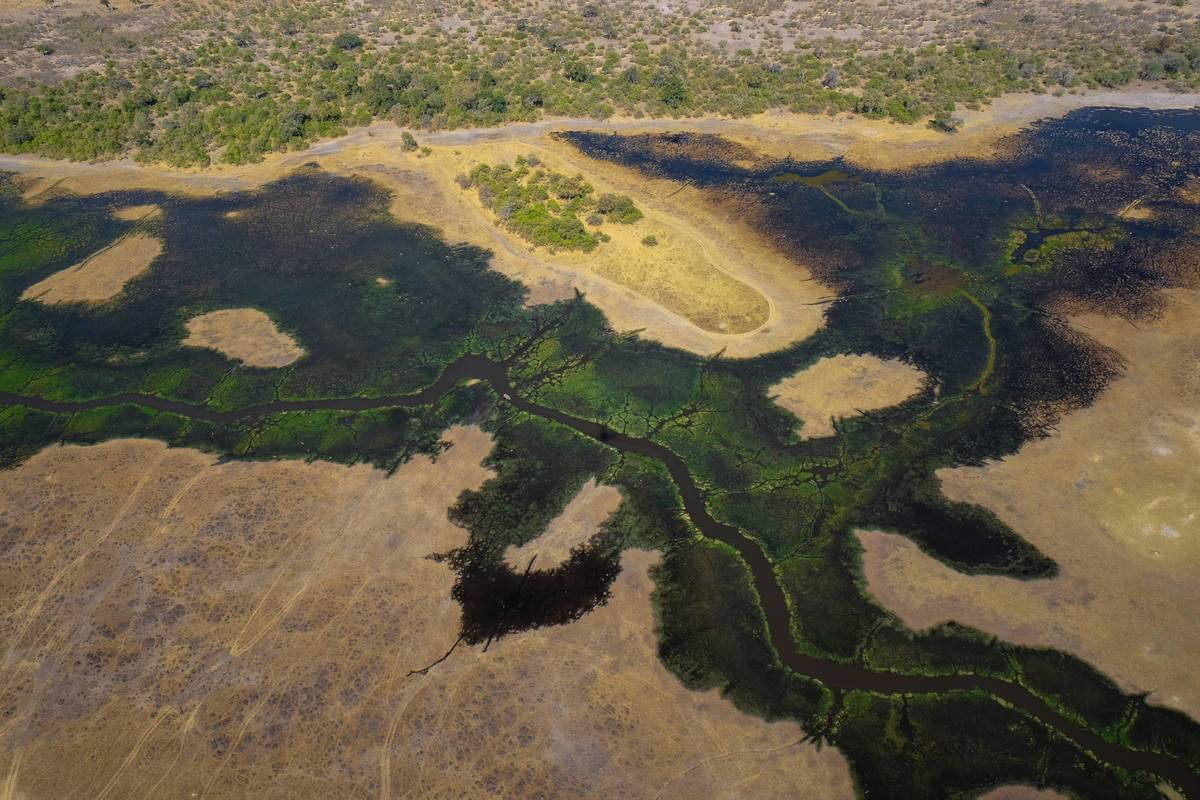 Botswana Resident Rate Special Banner Okavango Delta