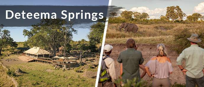 Local Zimbabwe Resident Special Deteema Springs