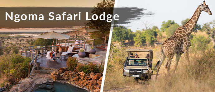 Botswana Resident Rate Special Ngoma Safari Lodge