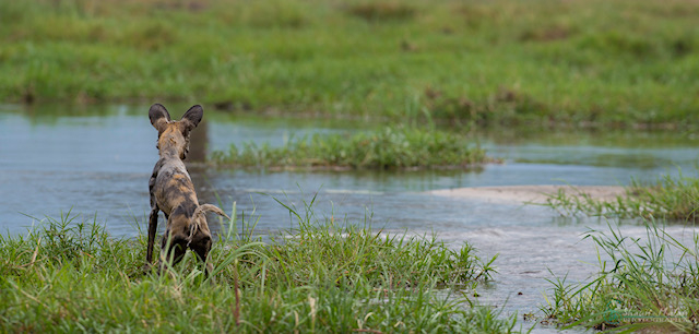 Shaun Malan Machab Camp Feb 2023 1