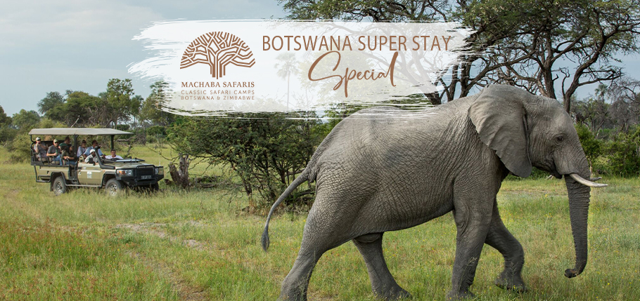 Machaba Botswana Super Stay Special Banner