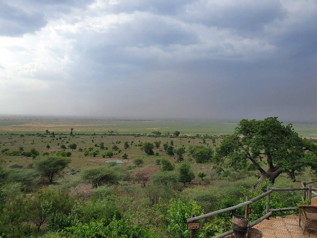 Machaba Safaris Botswana Chobe Ngoma Lodge Sightings Dec 2019 Cta Image
