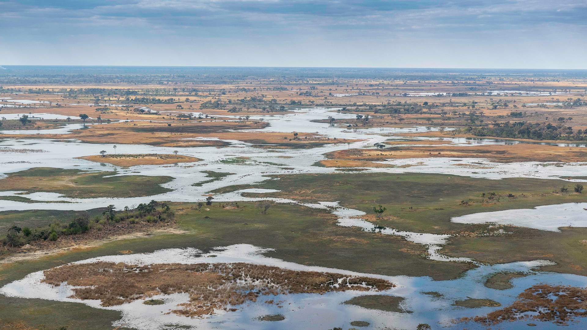 Machaba Botswana Okavango Delta Kiri Camp Landscape Aerial View Machaba Botswana Okavango Delta Kiri Camp Landscape Aerial View