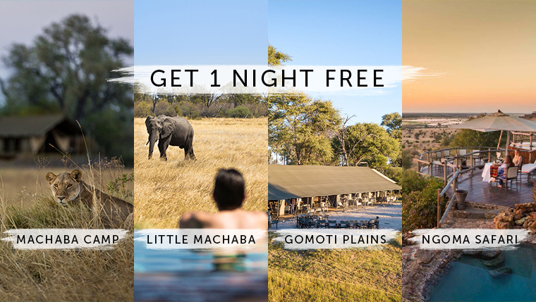 Machaba Botswana Special Brand
