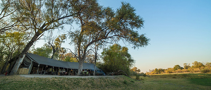 Machaba Guide Feature Machaba Camp Botswana