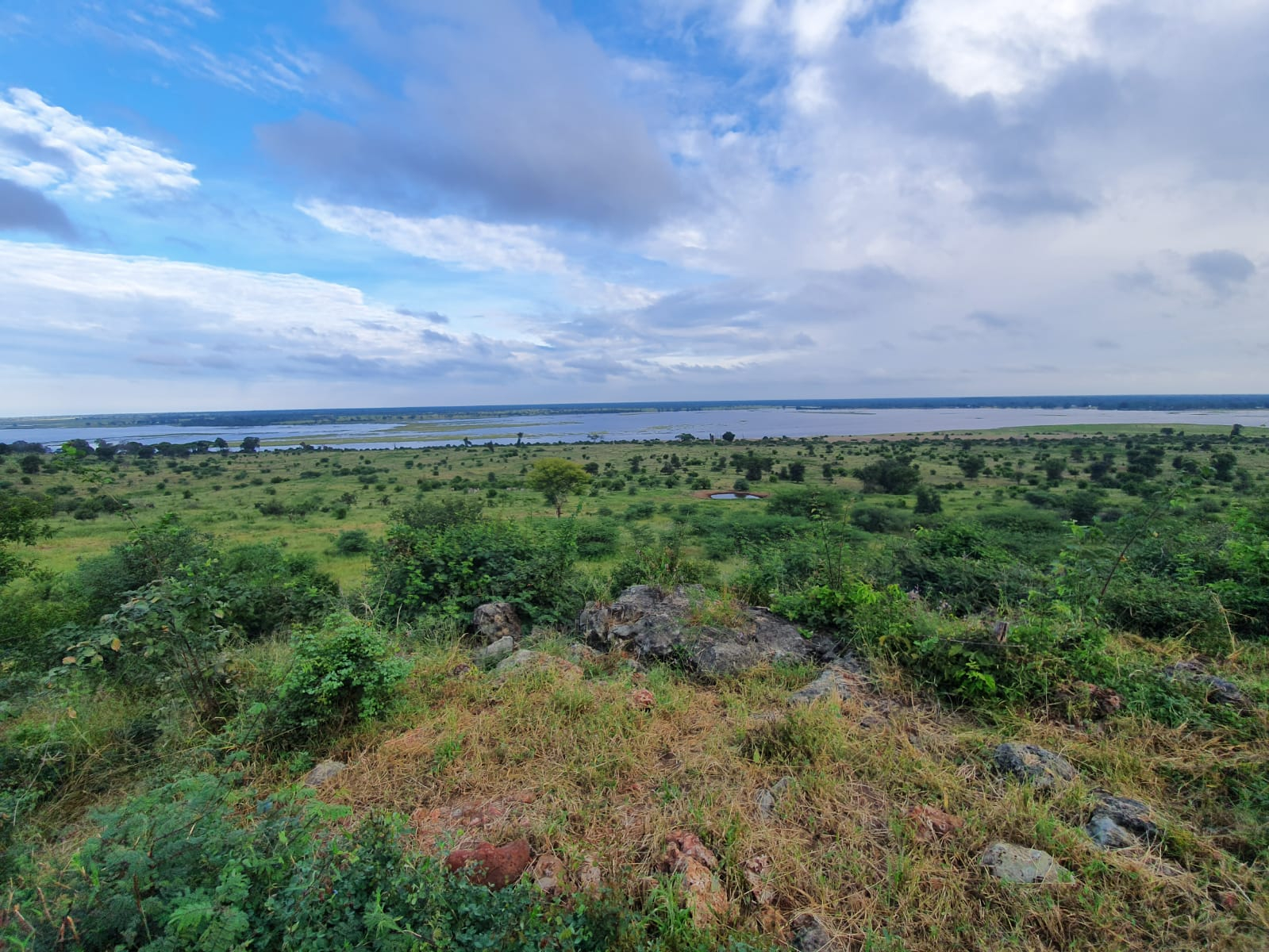 Machaba Botswana Chobe Ngoma Sighting March 2020 Banner