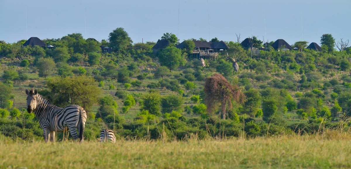 Machaba Safaris Botswana Chobe Ngoma Safari Lodge August Banner