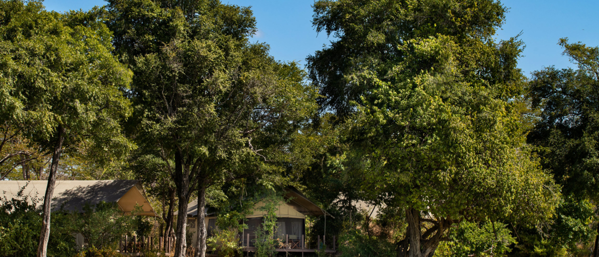 Machaba Zimbabwe Ingwe Pan Elevated Desk