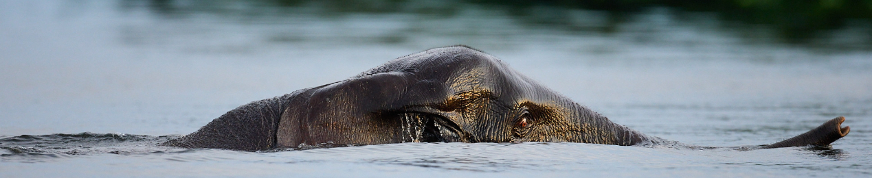 Experiences Carousel Image 14