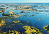 Botswana Okavango Delta