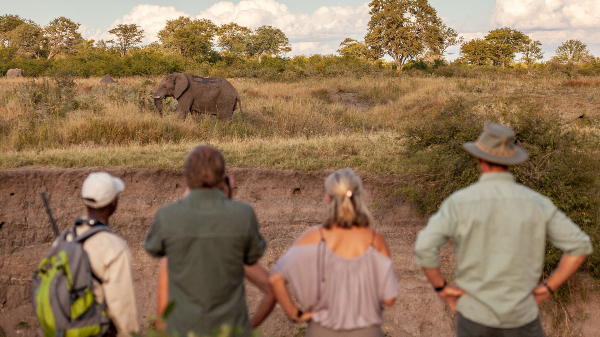 Best Of Hwange Deteema Springs Safari Banner