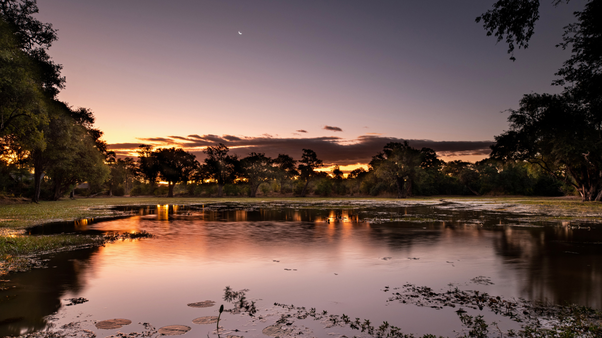 Machaba Zimbabwe Mana Pools Ingwe Pan Lagoon View Night