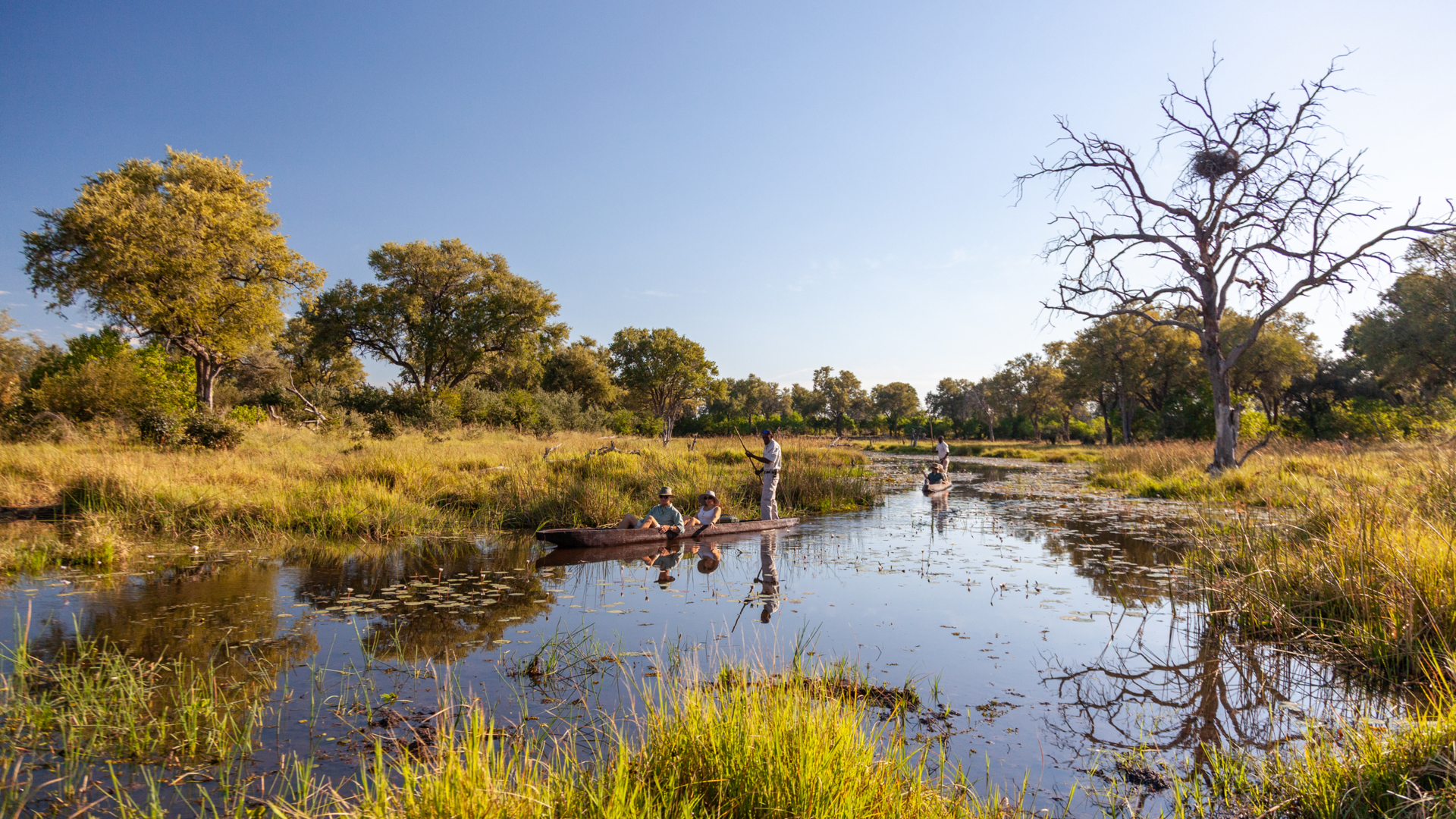 Machaba Machaba Experience Mokoro Mvr 004