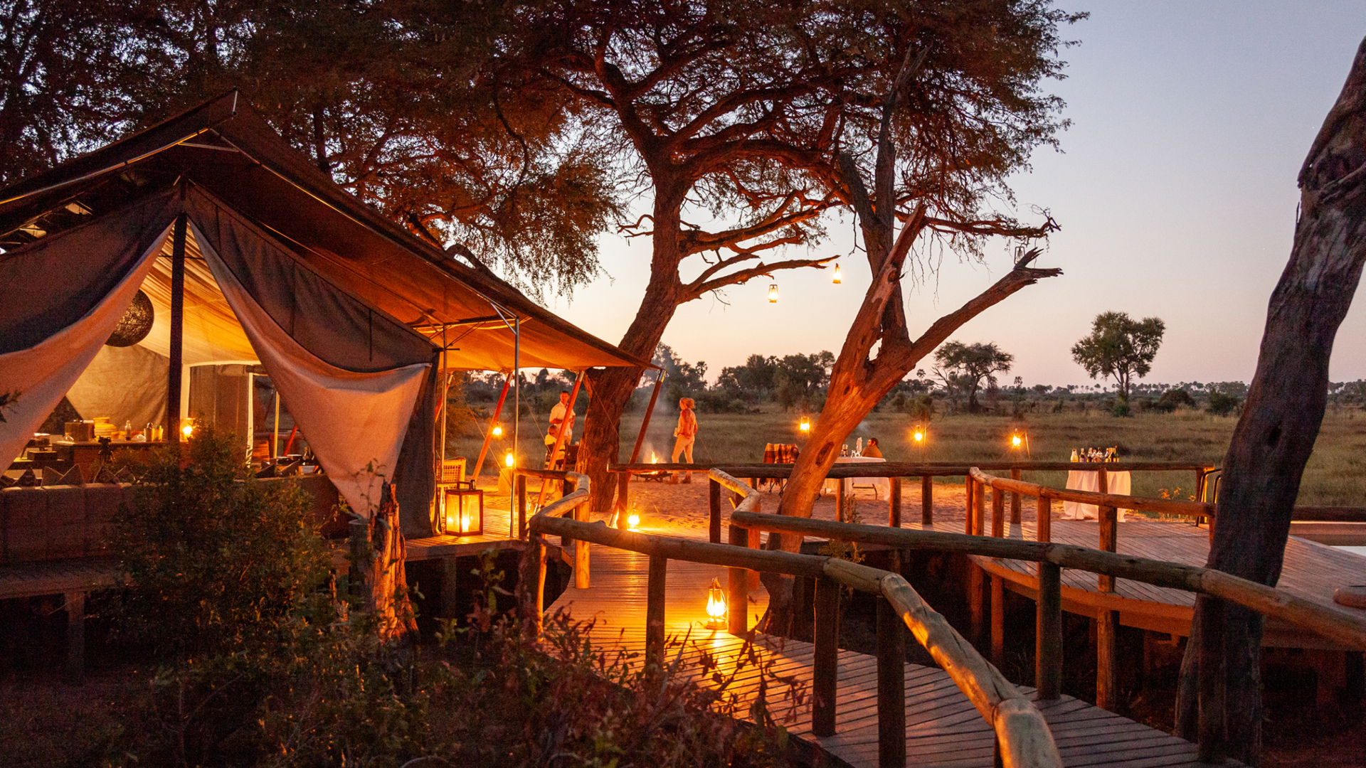 Machaba Safari Packages Classic Delta Package Bannerimage Gomotiatnight