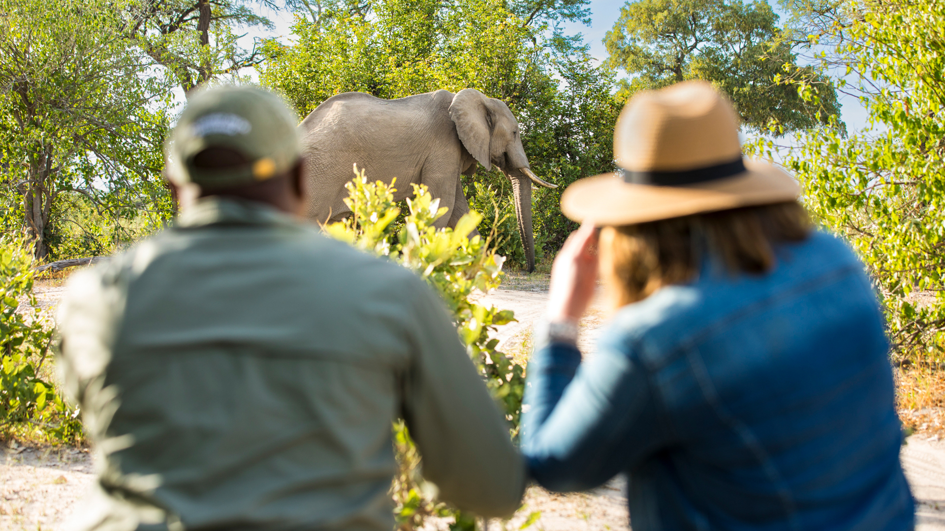 Machaba Web Packages Machaba Walking Safari 2