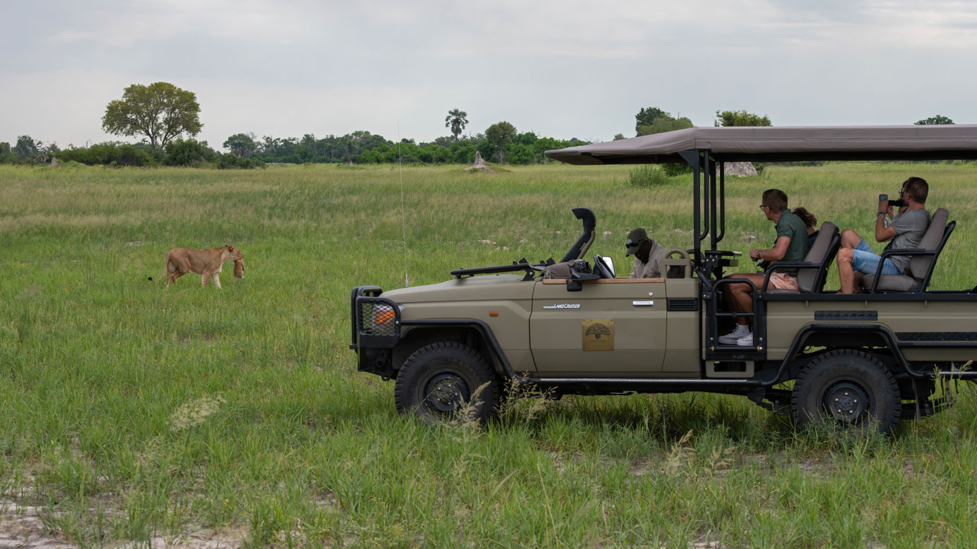 Machaba Web Packages Kiri Lion Safari