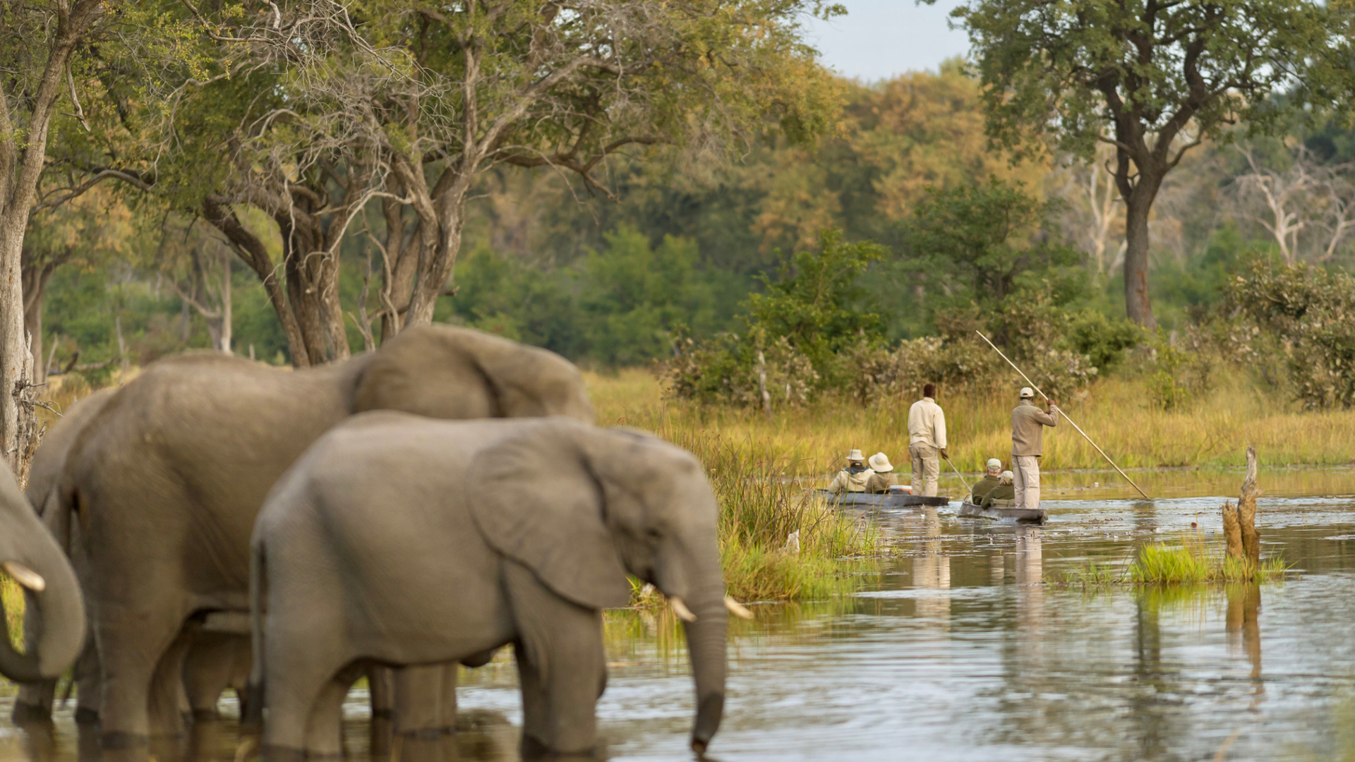 Machaba Botswana Okavango Delta Boat Safari Elephants