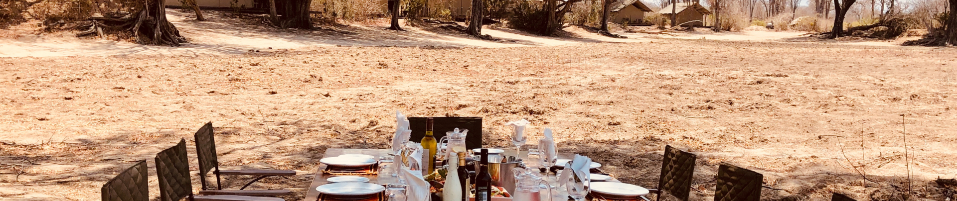 Machaba Zimbabwe Ingwe Pan Sightings July 2020 Banner