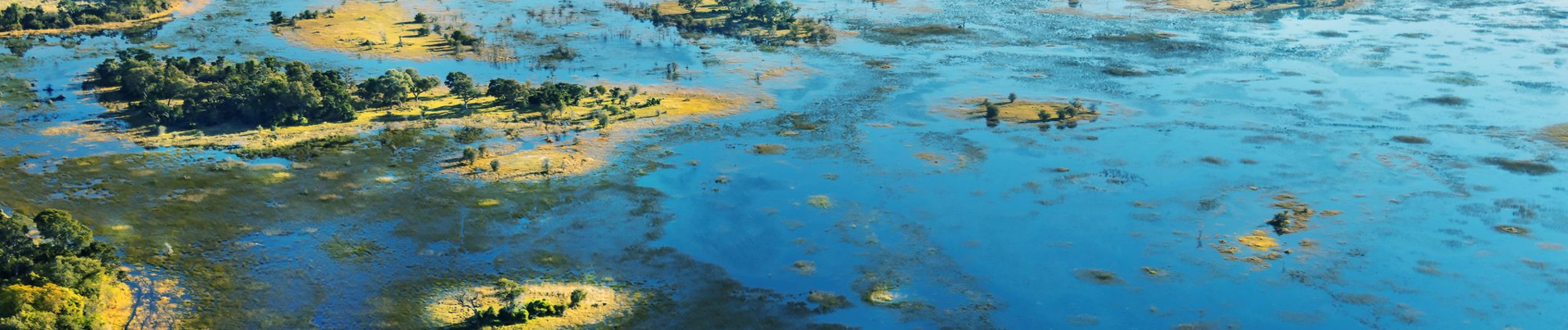 On Safari Nala Okavango Delta