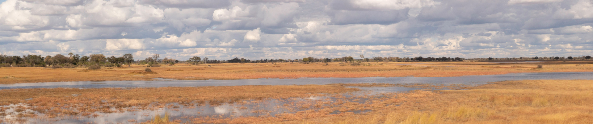 Machaba Okavango Delta Kiri Camp Safari Ranger Landscape