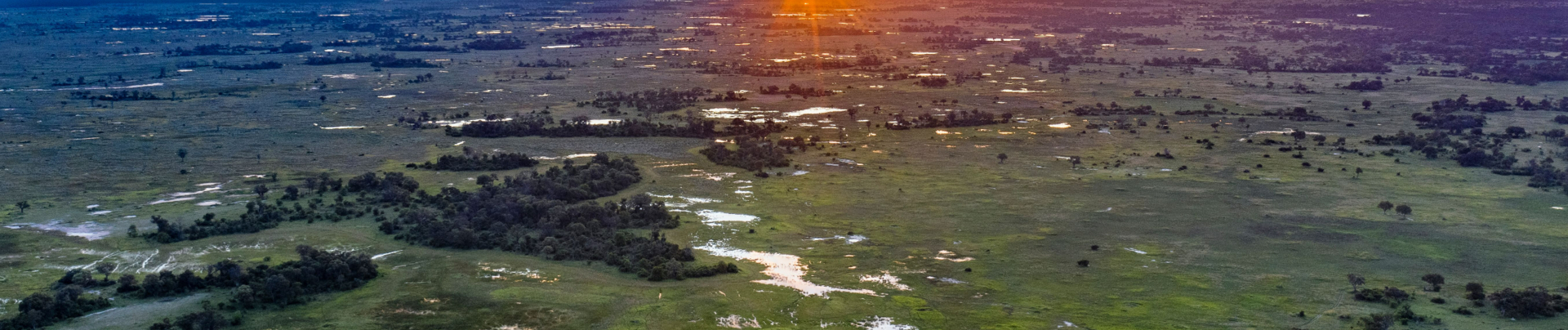 Botswana Okavango Delta Gomoti Plains Floodplain