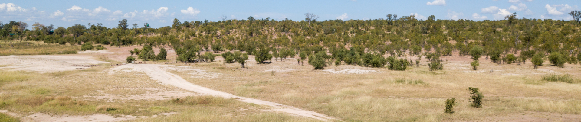 Machaba Zimbabwe Deteema Springs Sighting February 2020 Banner Safari