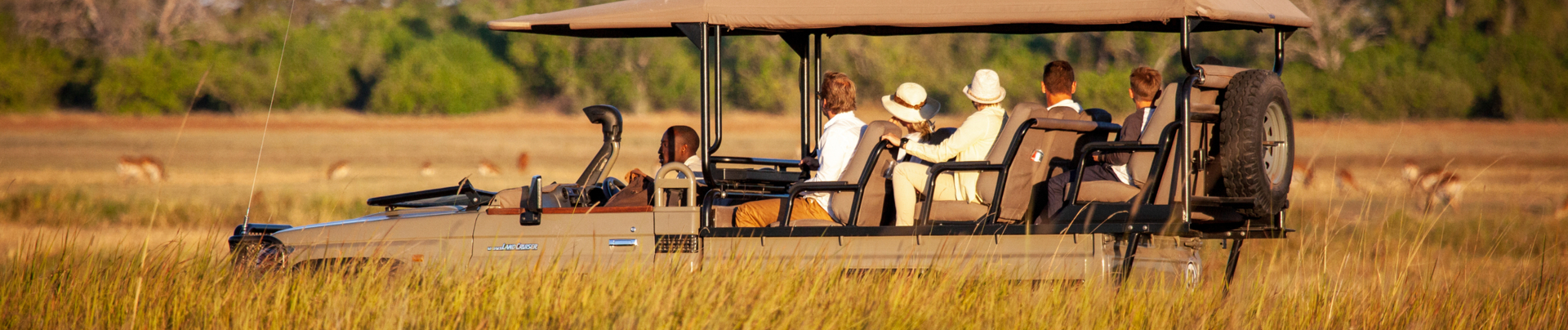 Machaba Machaba Experience Safari Mvr 079