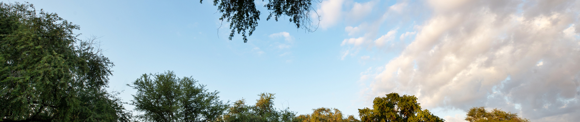 Zimbabwe Mana Pools Mana River Camp Land