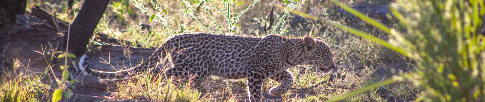 Health And Safety Banner