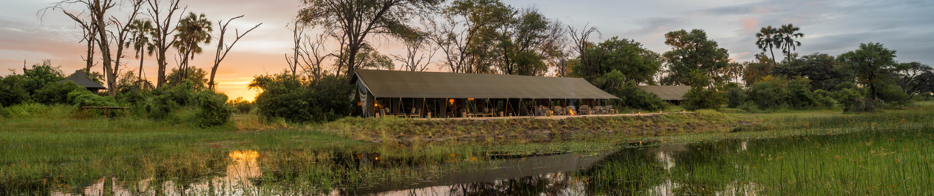 Machaba Botswana Okavango Delta Gomoti Plains Banner Botswana Sightings May 2020