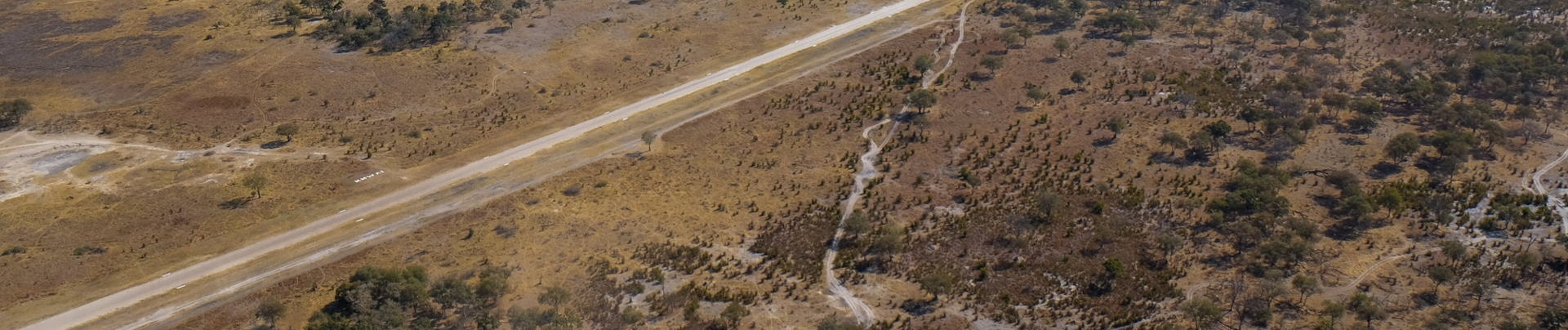 Machaba Kiri Camp Wildlife Sightings Decemberr 2025 Banner Machaba Safaris Airstrip