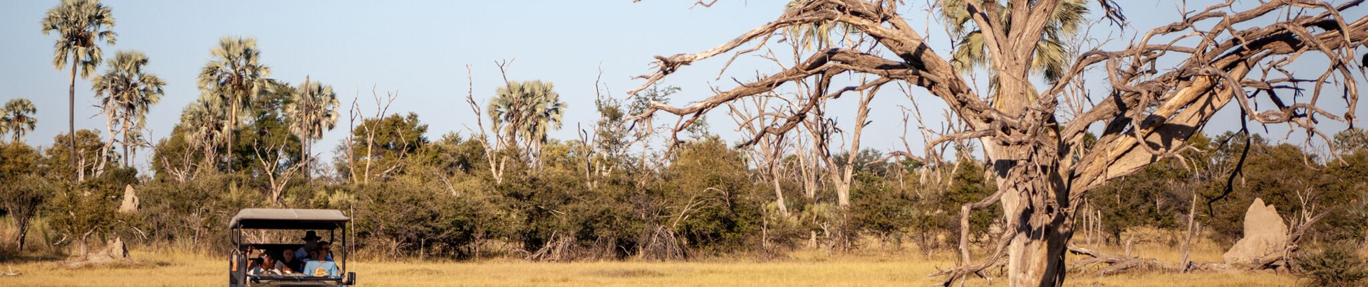 Gomoti Plains March Sightings Banner