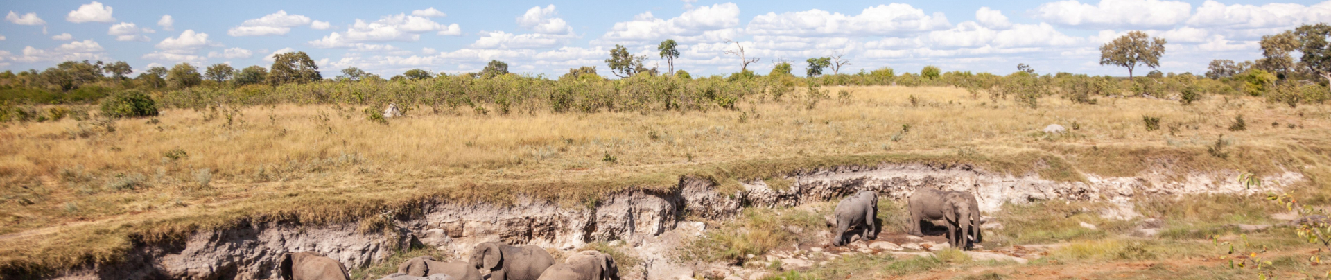 Machaba Zimbabwe Hwange Deteema Camp Elephants