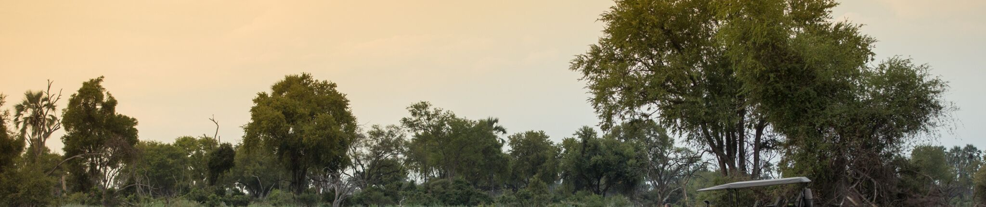 Machaba Botswana Zimbabwe Ultimate Safari Destination Banner