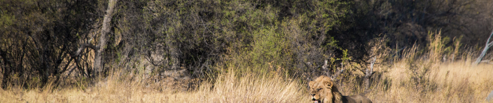 Camp Fact Sheets Banner