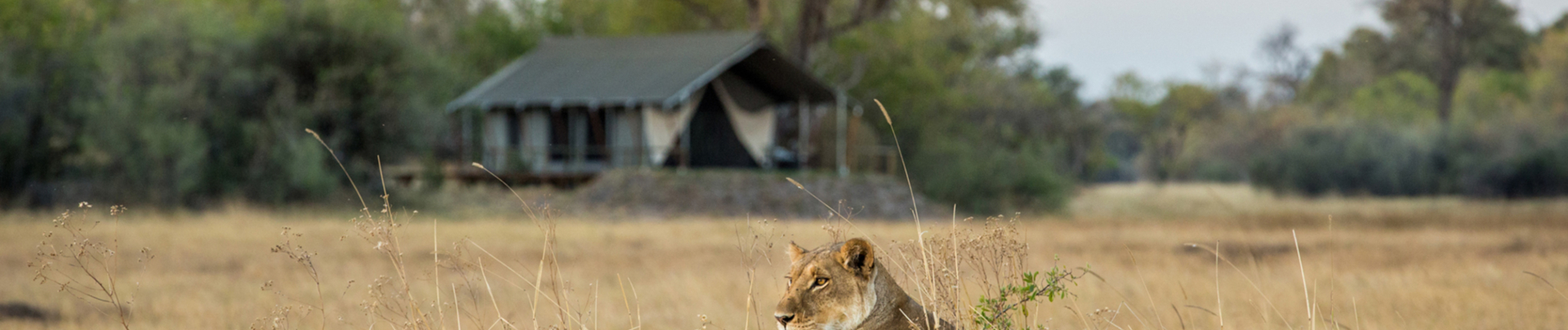 Machaba Safaris International Travel Award Nomination Safari Experience Mokoro Banner