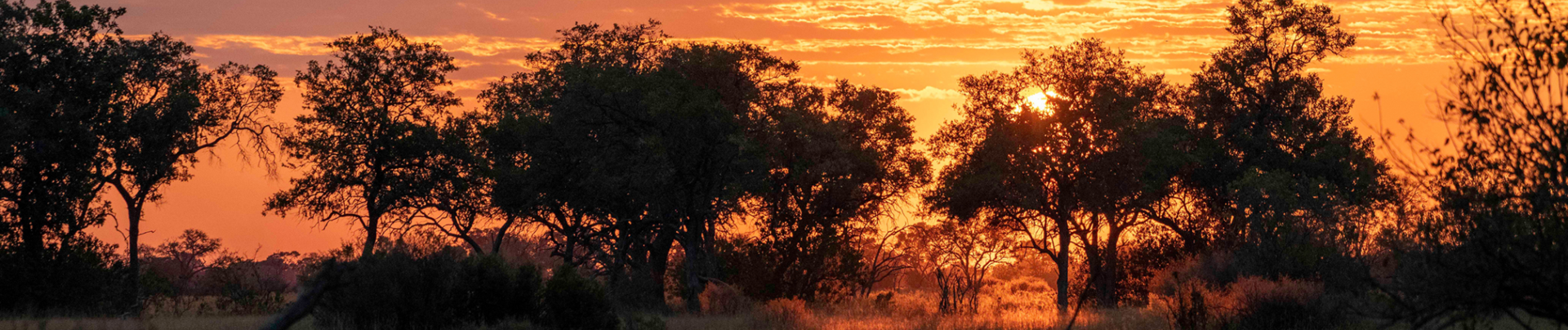 Botswana Kiri Camp Sunset