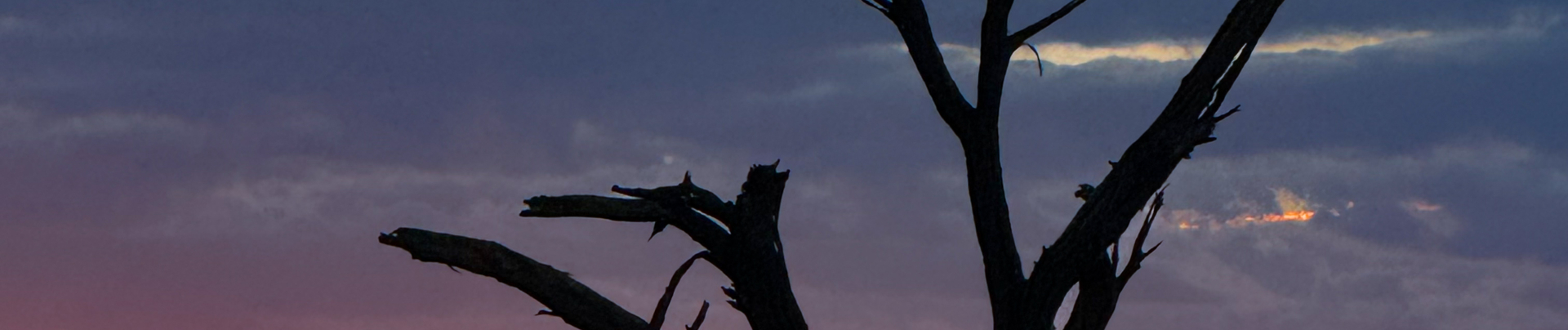 Machaba Kiri Camp Wildlife Stories November 2025 Sunset