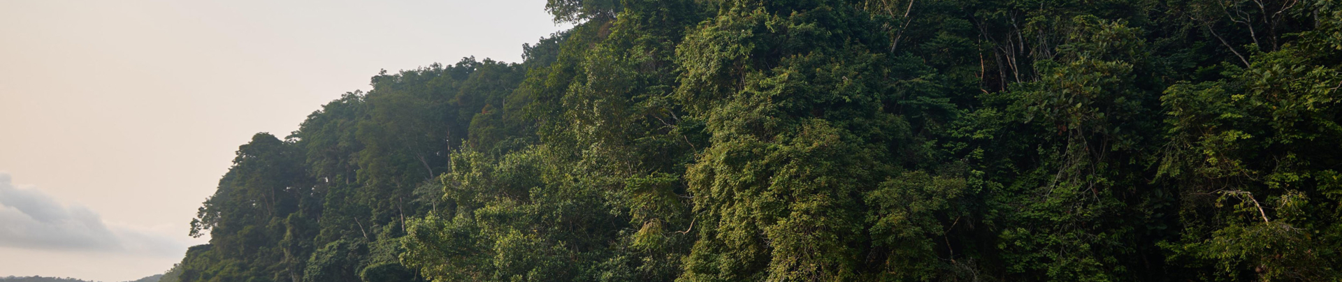 NDOGO LAGOON EXPLORATIONS Kayak4