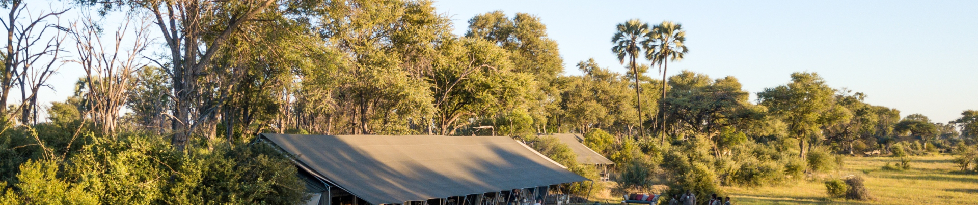 Machaba Botswana Okavango Delta Gomoti Plains Leopard Sightings July 2020 Banner