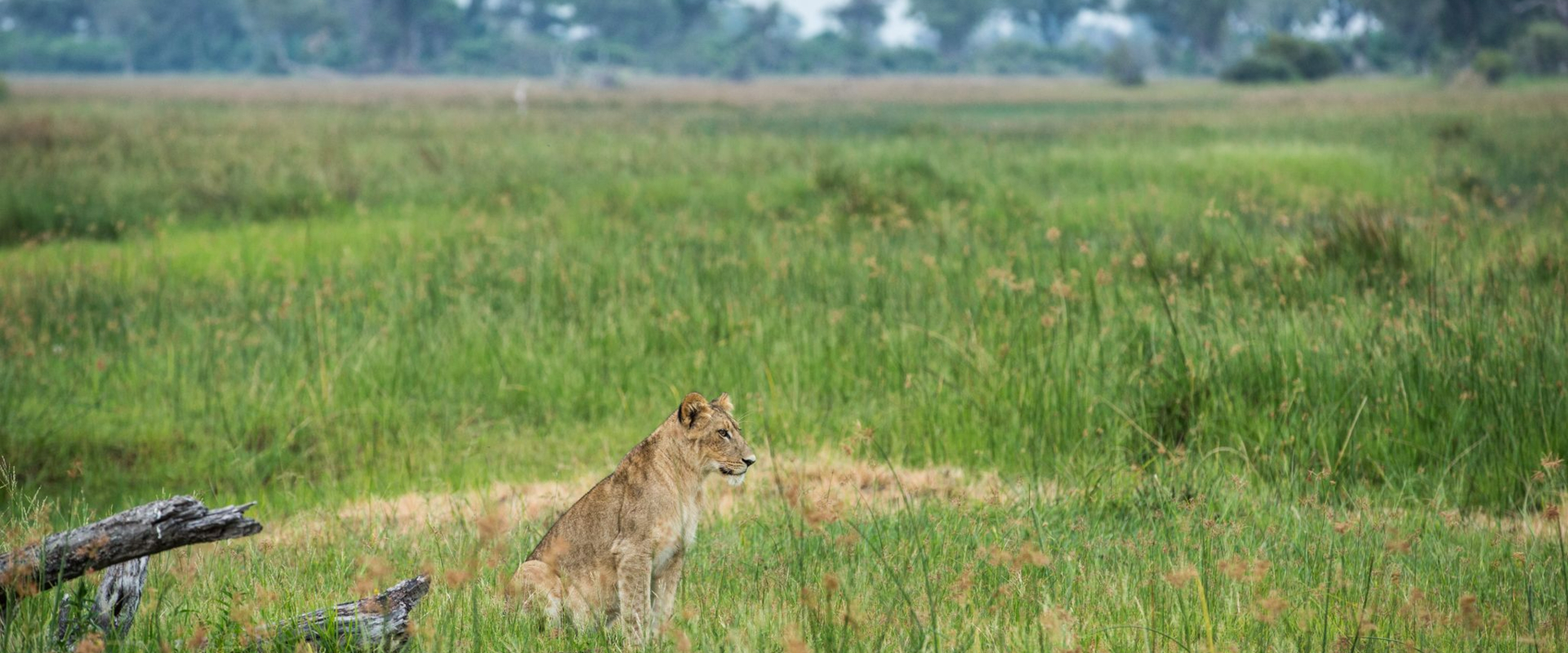 Machaba Deteema Accommodation Lodge Mvr 045