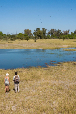 Safari Nala Okavango Delta Walking Safari