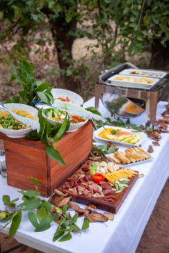 On Safari Nala Episode 11 Cookies Cta Food Snacks Gallery