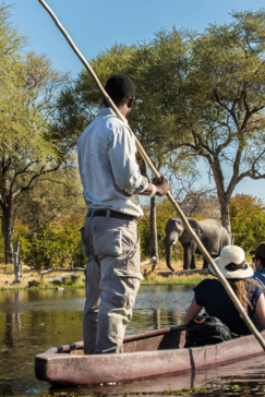 On Safari Nala Episode 9 Mokoro Gallery