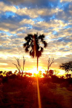 Machaba Botswana Okavango Delta Gomoti Plains Camp Sunset Sightings August 2017